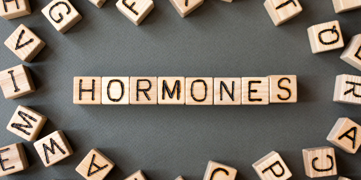 How can vitamins help with hormone imbalance? | Nourished